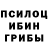 Галлюциногенные грибы Magic Shrooms Guvanch Garajayev