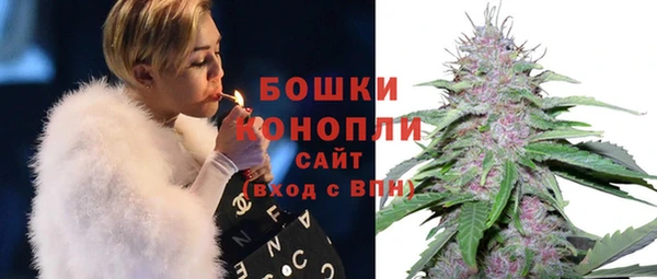PSILOCYBIN Нефтегорск