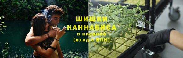 метадон Нея