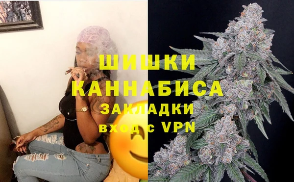 дживик Нефтекумск