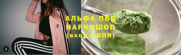PSILOCYBIN Нефтегорск