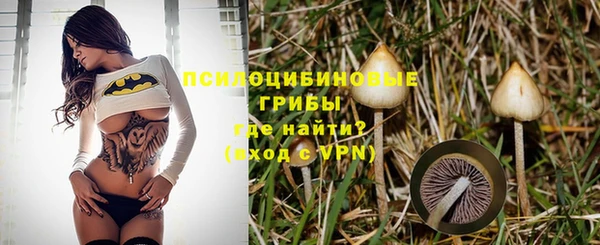 PSILOCYBIN Нефтегорск
