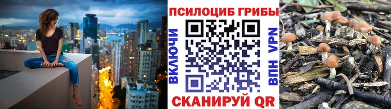 Галлюциногенные грибы MAGIC MUSHROOMS Купить где Питкяранта